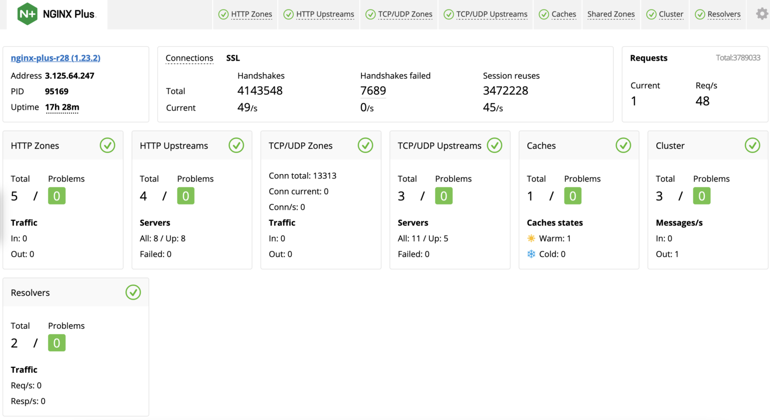 NGINX Plus 仪表板可提供有关应用性能的重要洞察信息